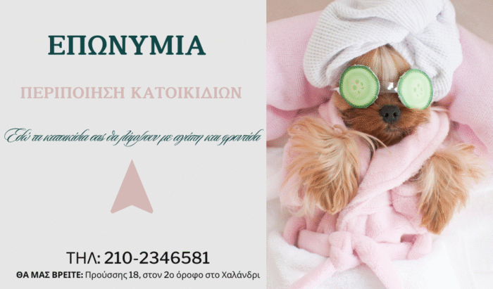 Επαγγελματική Κάρτα 20