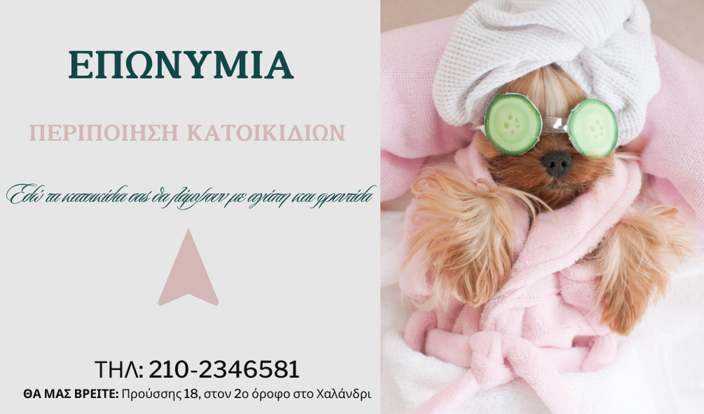 Επαγγελματική Κάρτα 20