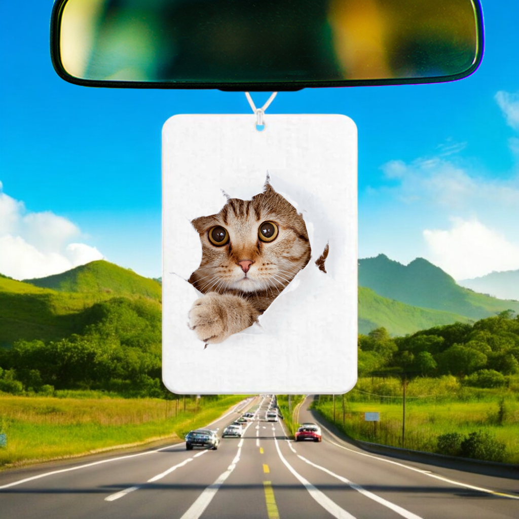 Αρωματικό Αυτοκινήτου Cat